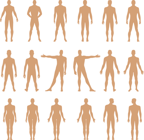 Full length front, back human silhouette vector illustration, isolated on white