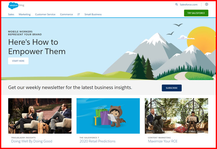 salesforce screenshot